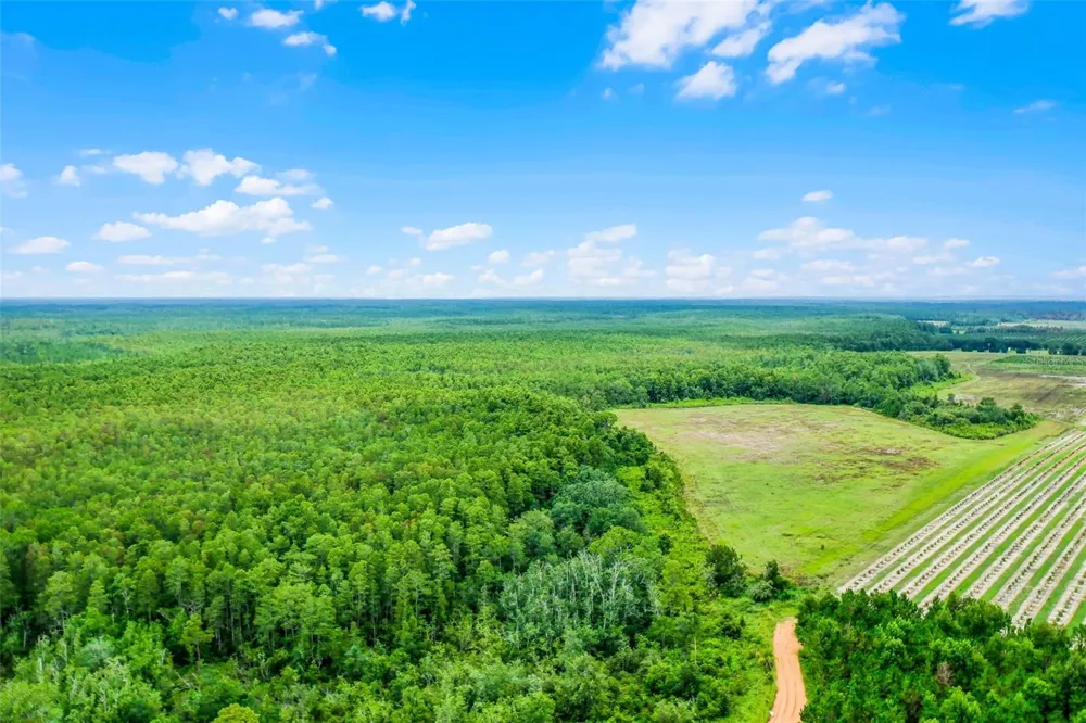 S BOGGY MARSH ROAD Clermont, FL 34711