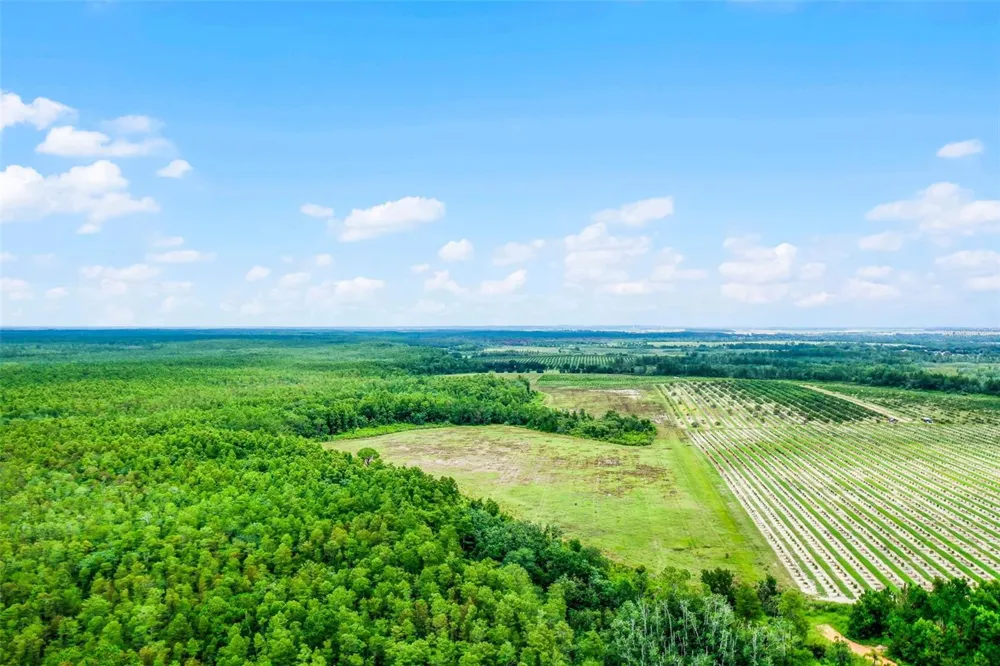 S BOGGY MARSH ROAD Clermont, FL 34711