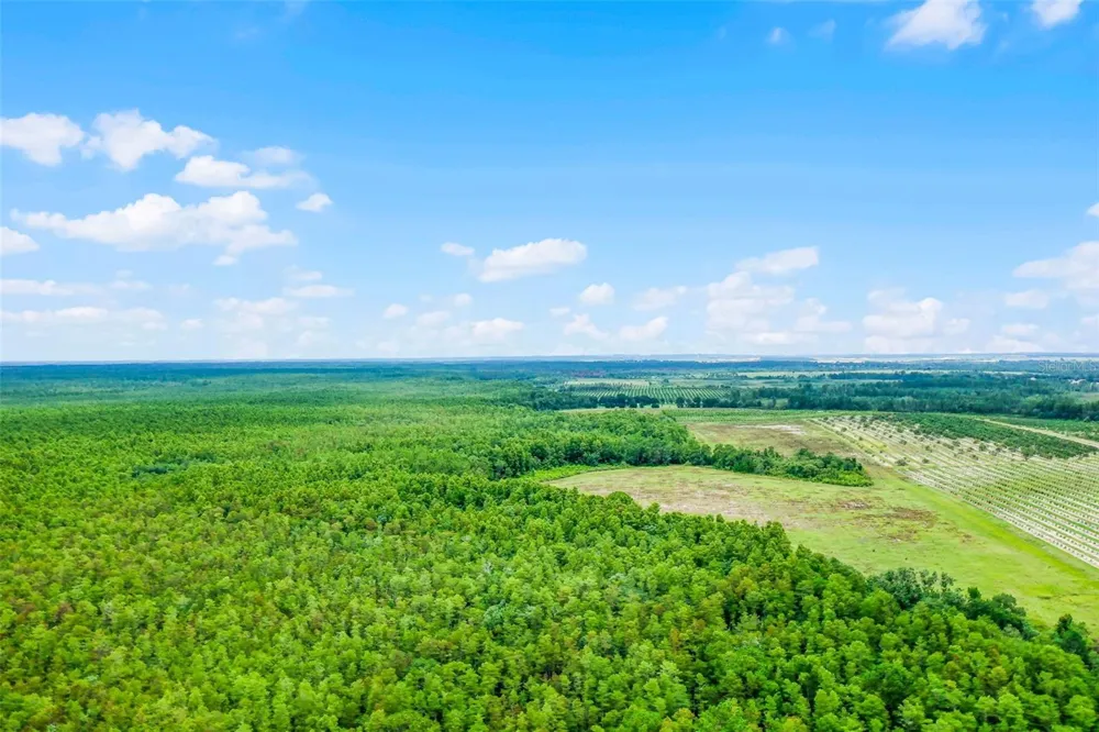 S BOGGY MARSH ROAD Clermont, FL 34711