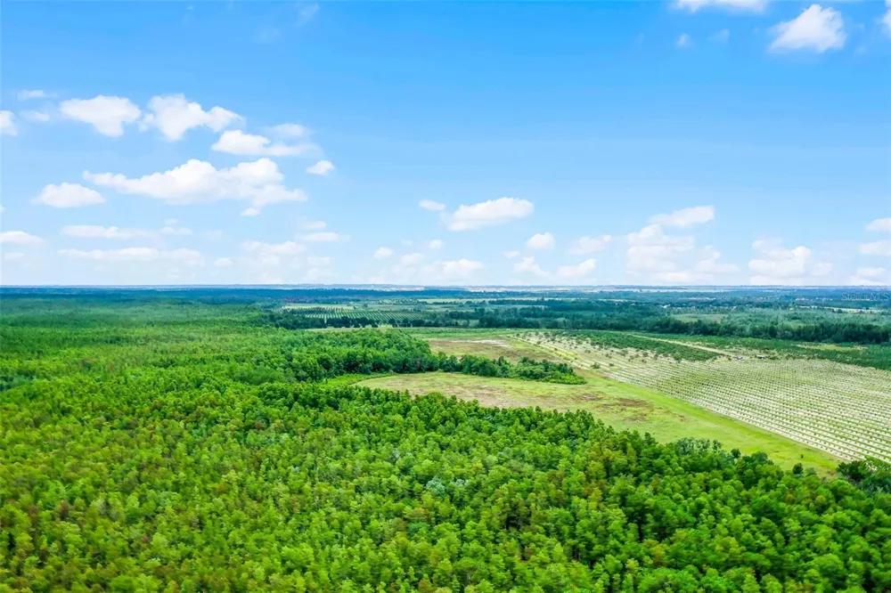 S BOGGY MARSH ROAD Clermont, FL 34711