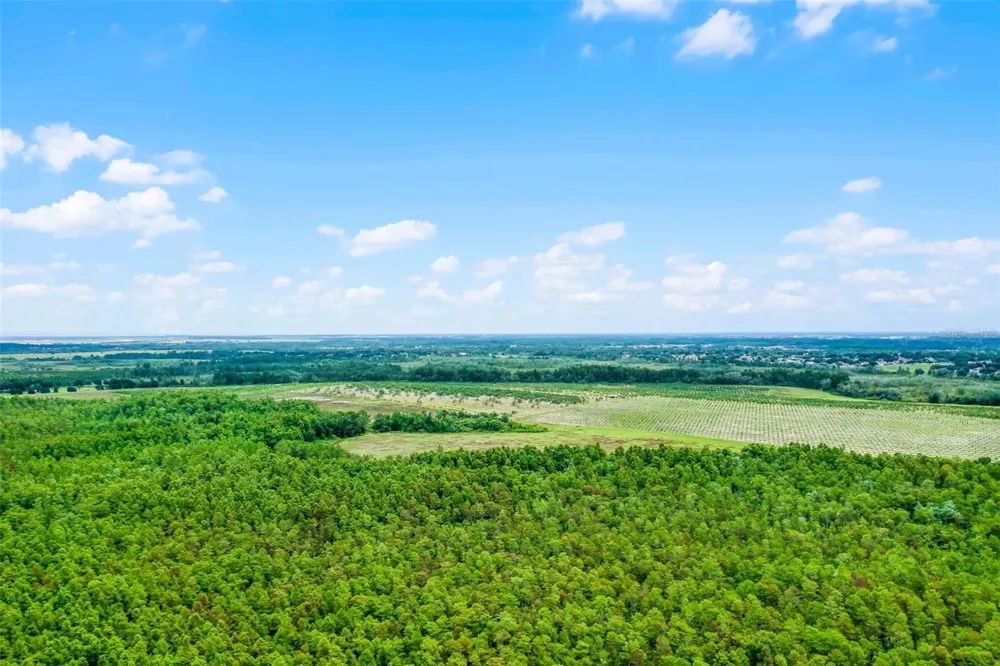 S BOGGY MARSH ROAD Clermont, FL 34711