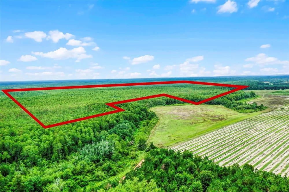 S BOGGY MARSH ROAD Clermont, FL 34711