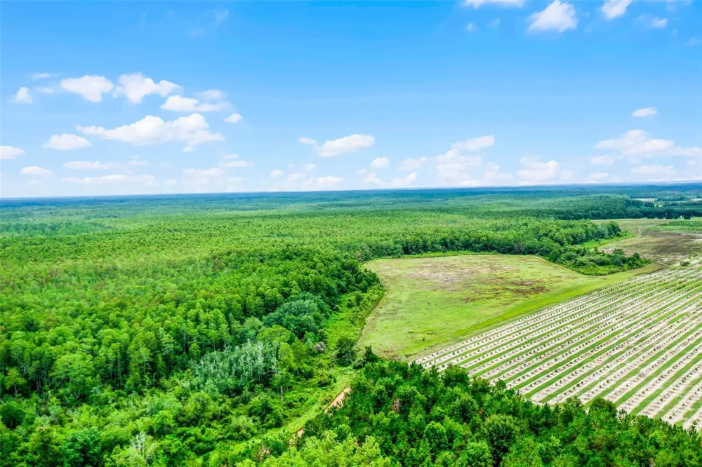 S BOGGY MARSH ROAD Clermont, FL 34711