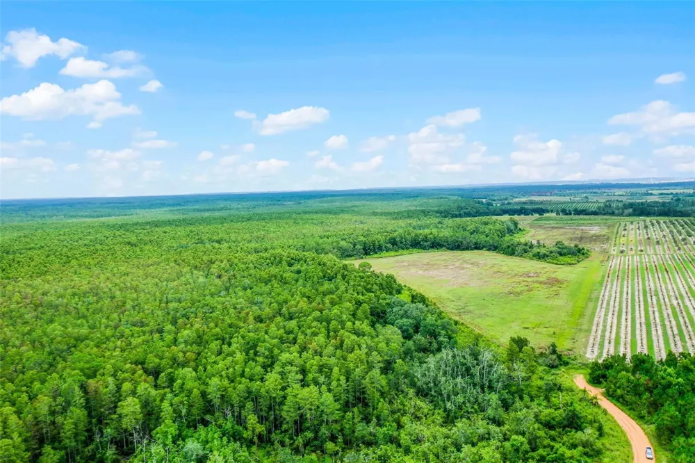 S BOGGY MARSH ROAD Clermont, FL 34711