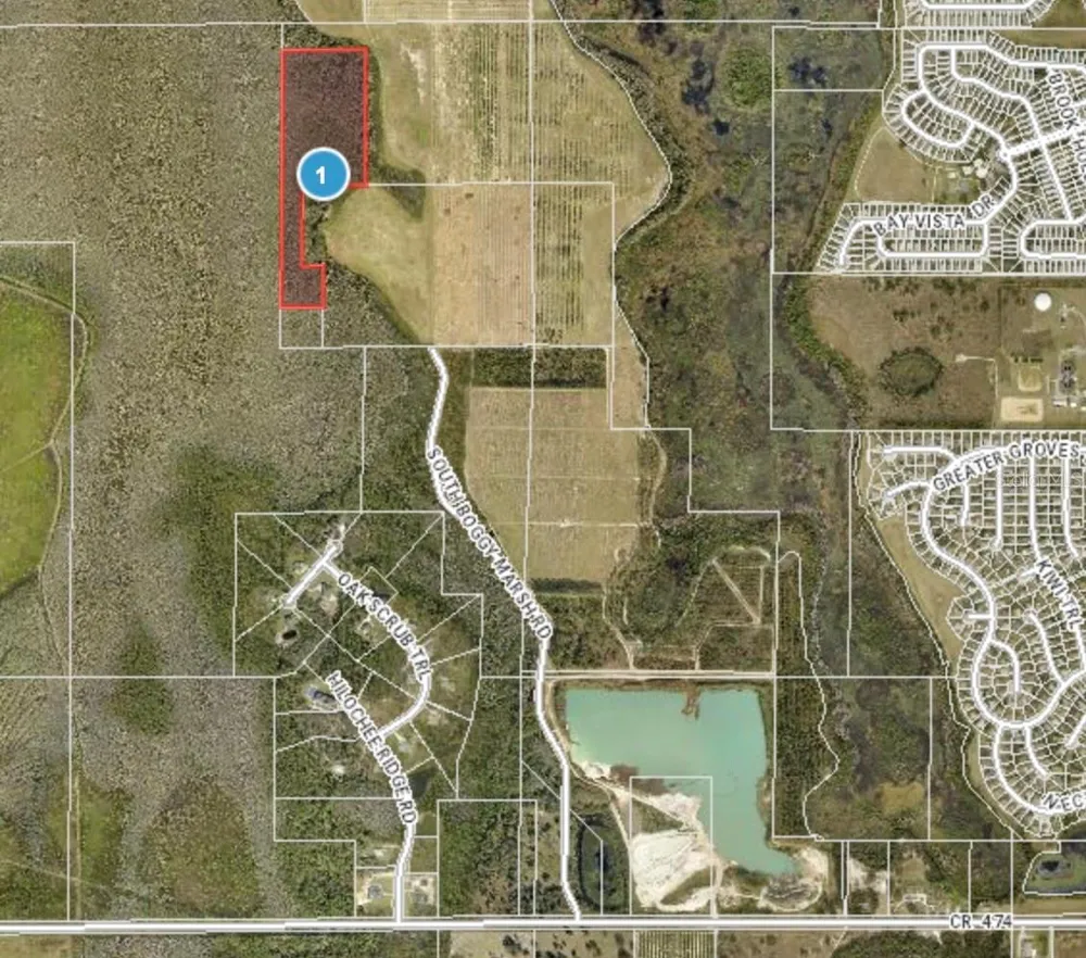 S BOGGY MARSH ROAD Clermont, FL 34711