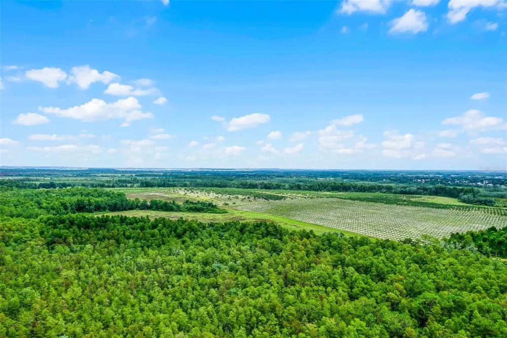 S BOGGY MARSH ROAD Clermont, FL 34711