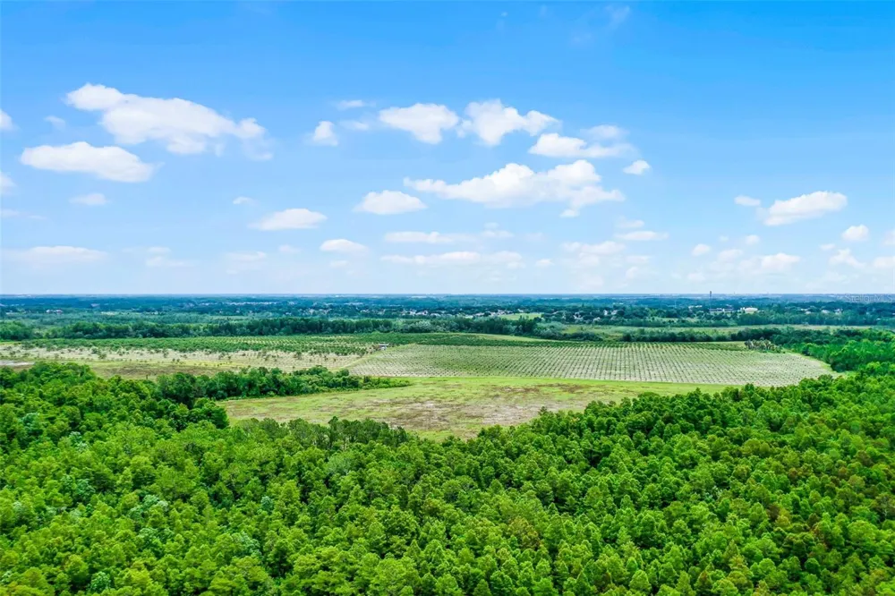 S BOGGY MARSH ROAD Clermont, FL 34711