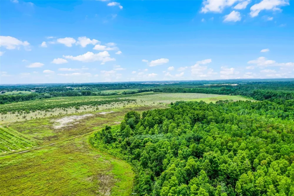 S BOGGY MARSH ROAD Clermont, FL 34711