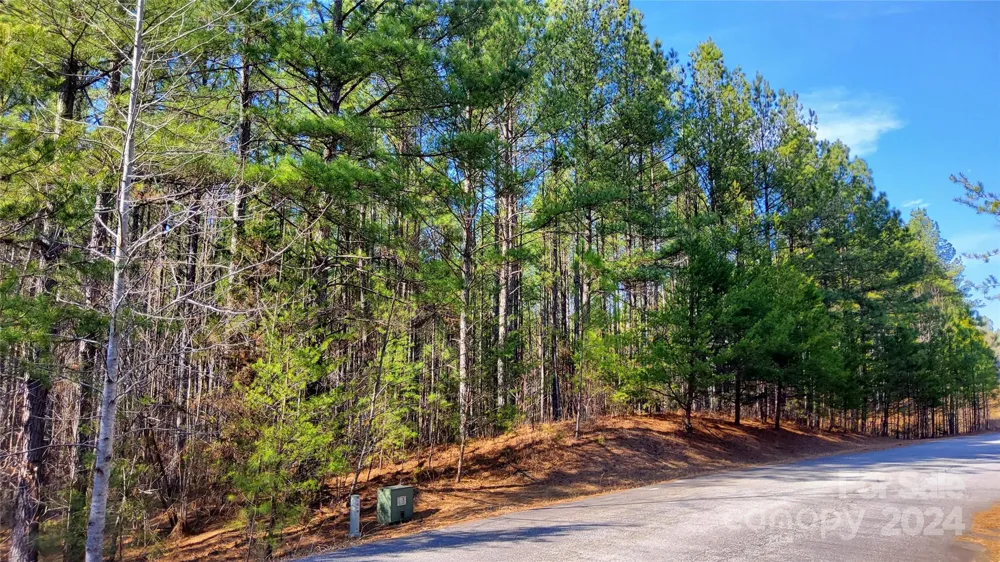 0 Sunset Drive #20 Mill Spring, NC 28756