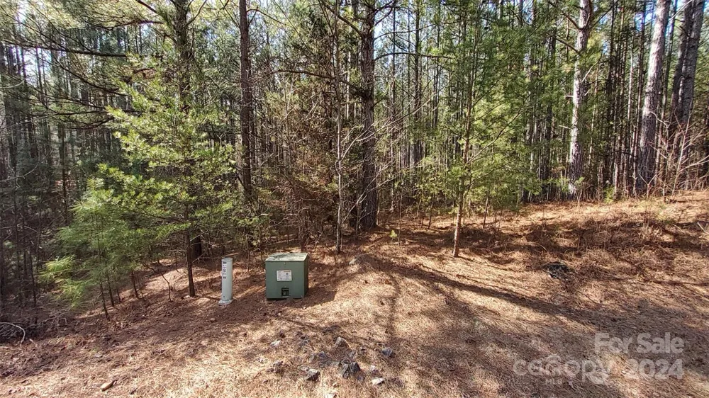 0 Sunset Drive #20 Mill Spring, NC 28756