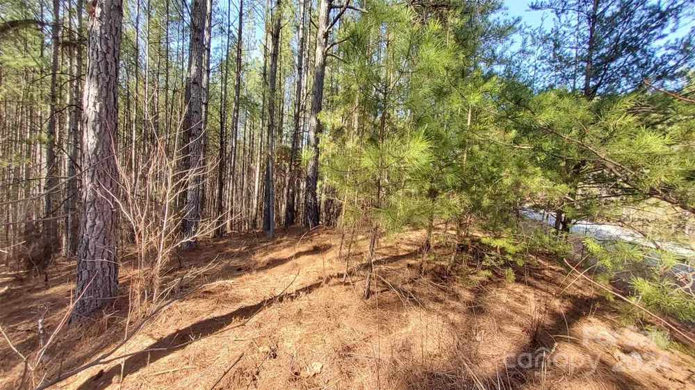 0 Sunset Drive #20 Mill Spring, NC 28756