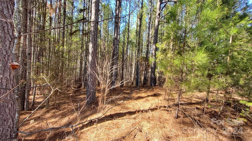 0 Sunset Drive #20 Mill Spring, NC 28756