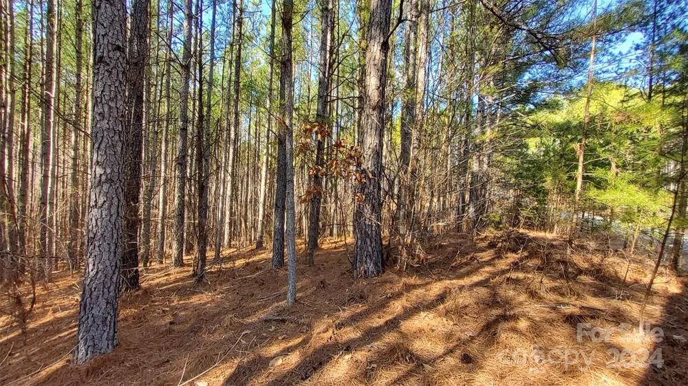 0 Sunset Drive #20 Mill Spring, NC 28756