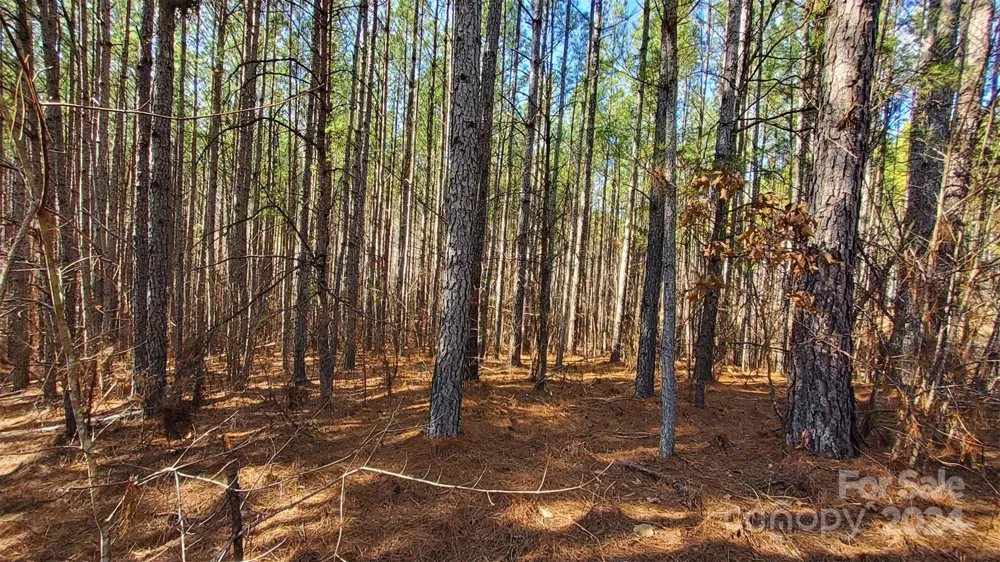 0 Sunset Drive #20 Mill Spring, NC 28756
