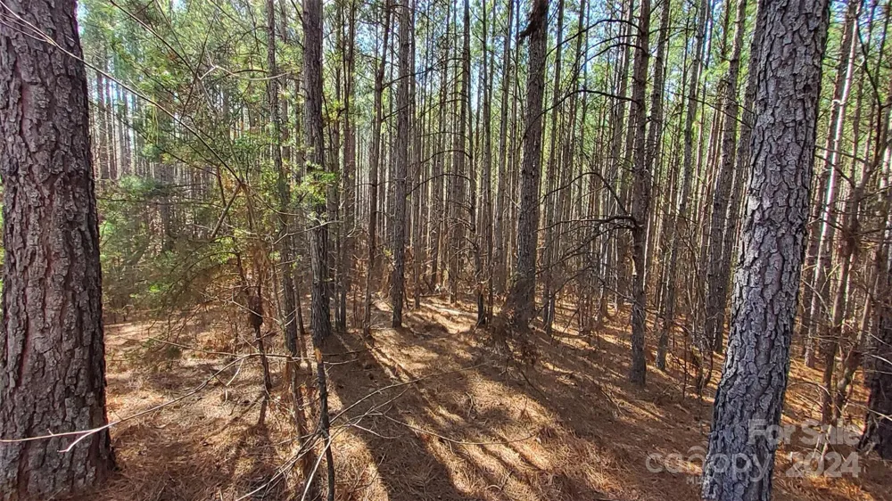 0 Sunset Drive #20 Mill Spring, NC 28756