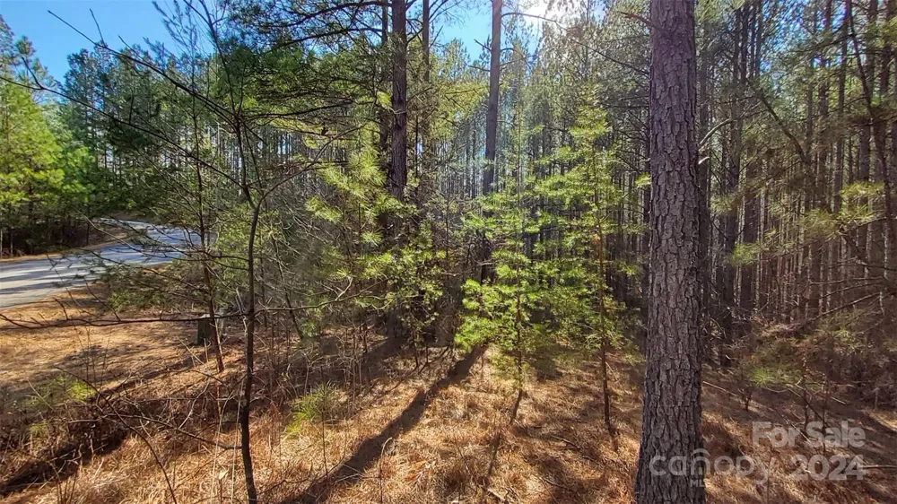 0 Sunset Drive #20 Mill Spring, NC 28756