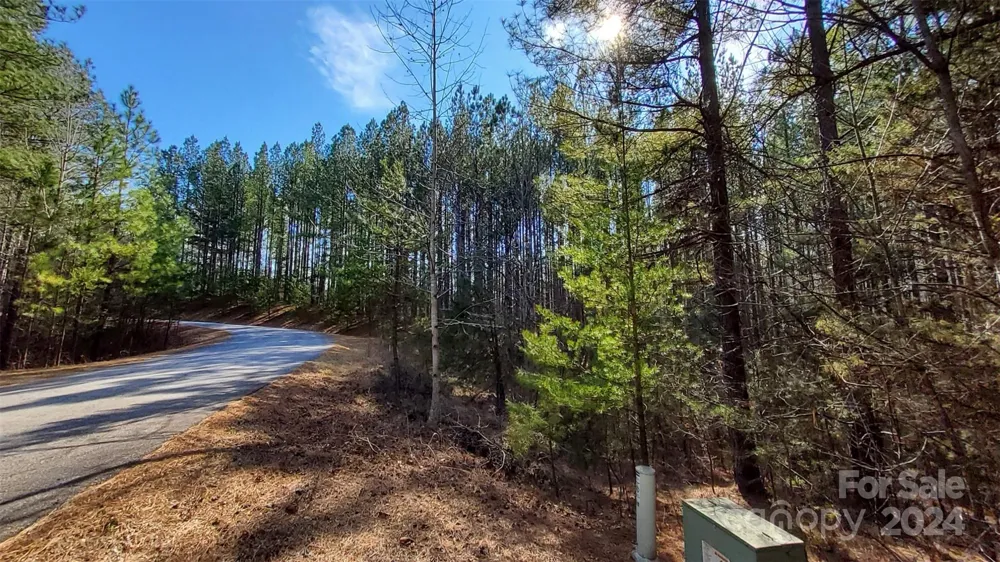 0 Sunset Drive #20 Mill Spring, NC 28756