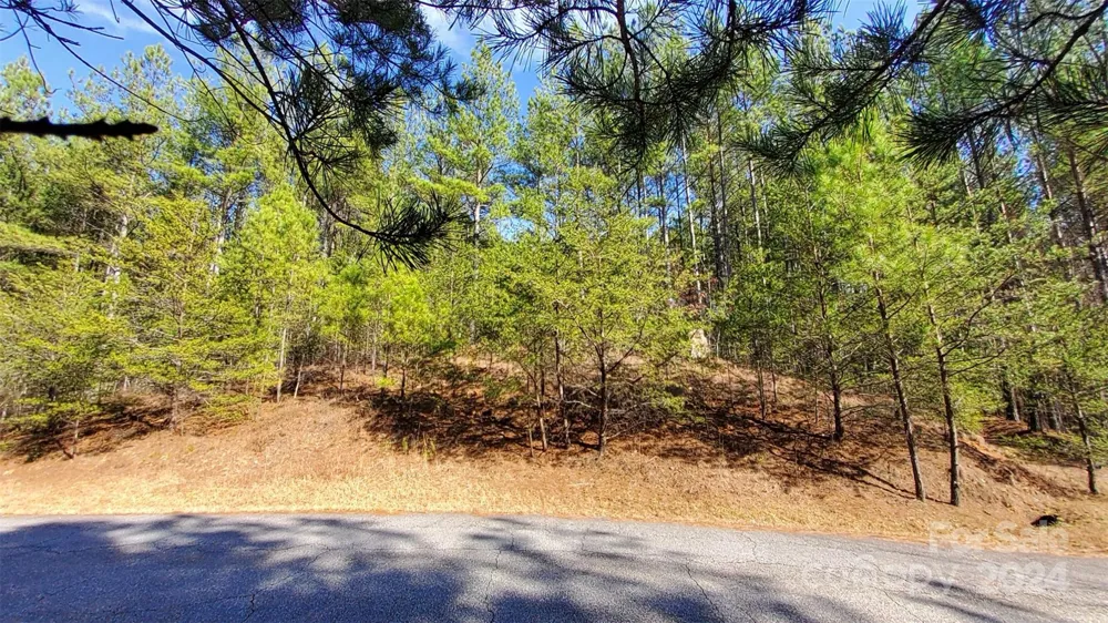 0 Sunset Drive #20 Mill Spring, NC 28756