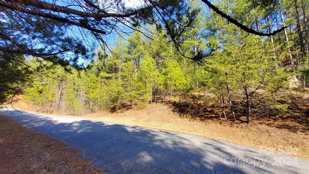 0 Sunset Drive #20 Mill Spring, NC 28756