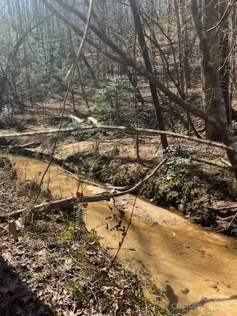0 Sunset Drive #20 Mill Spring, NC 28756