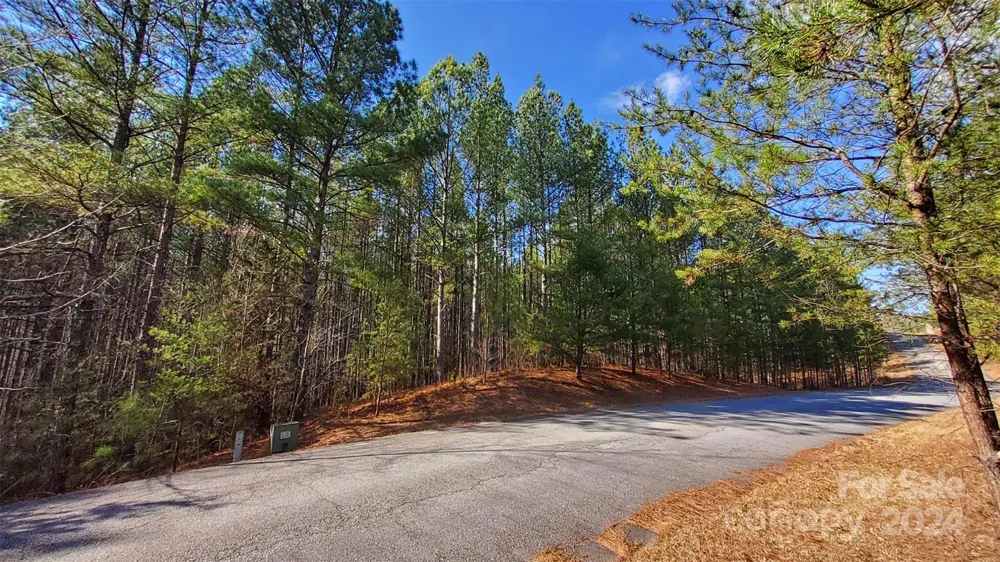 0 Sunset Drive #20 Mill Spring, NC 28756