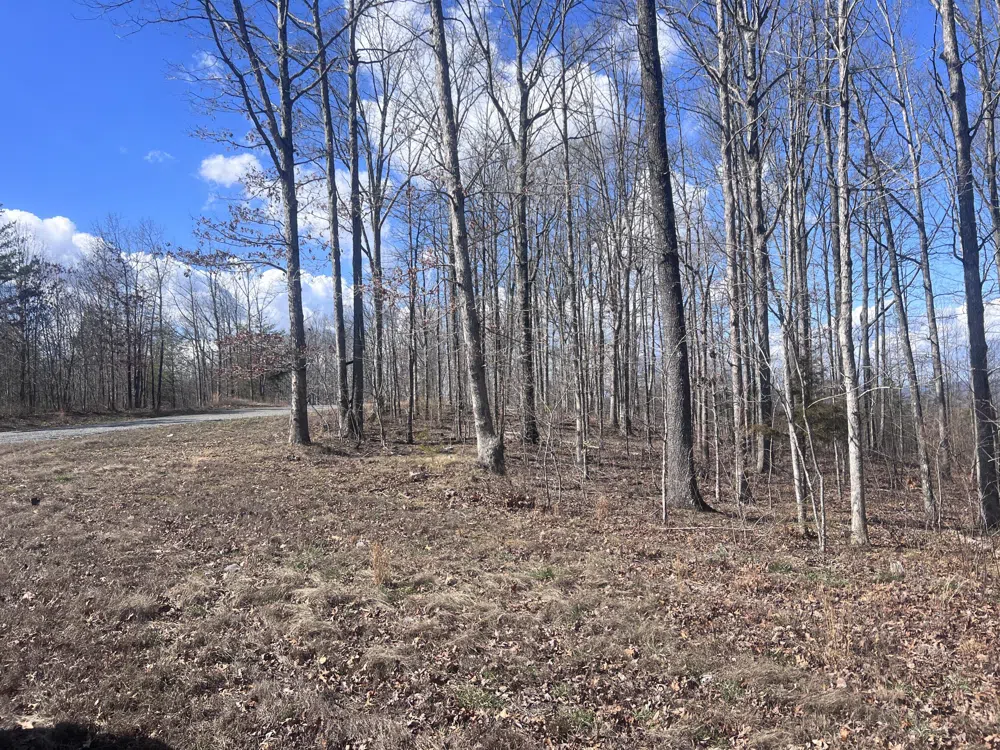 Salolee West Lane New Hope, TN 37380