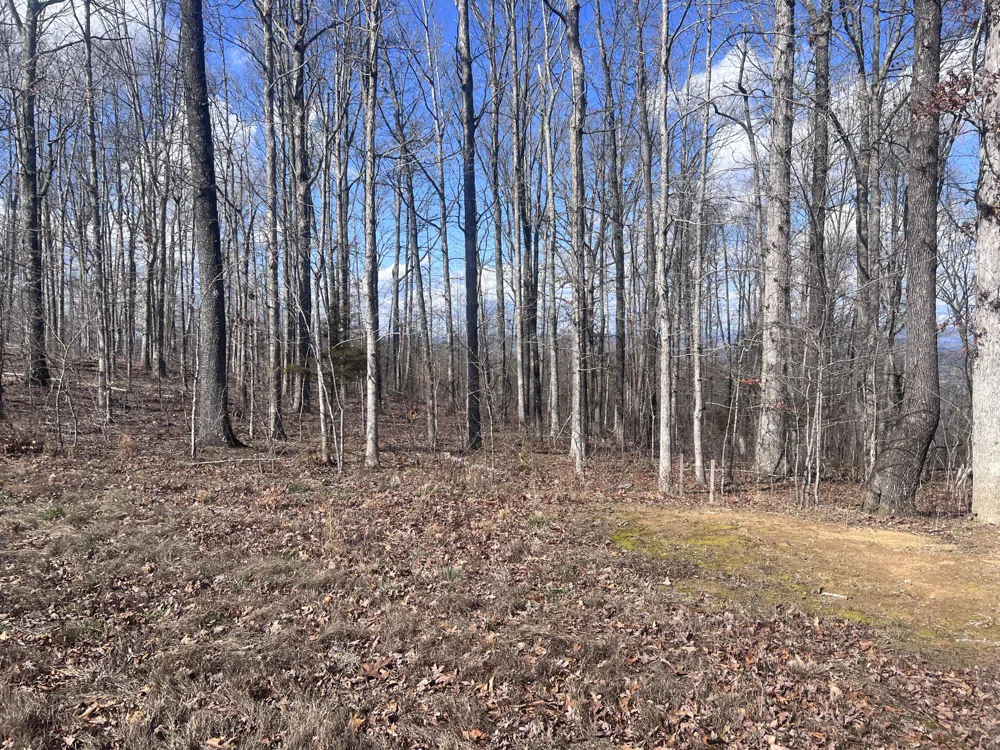 Salolee West Lane New Hope, TN 37380