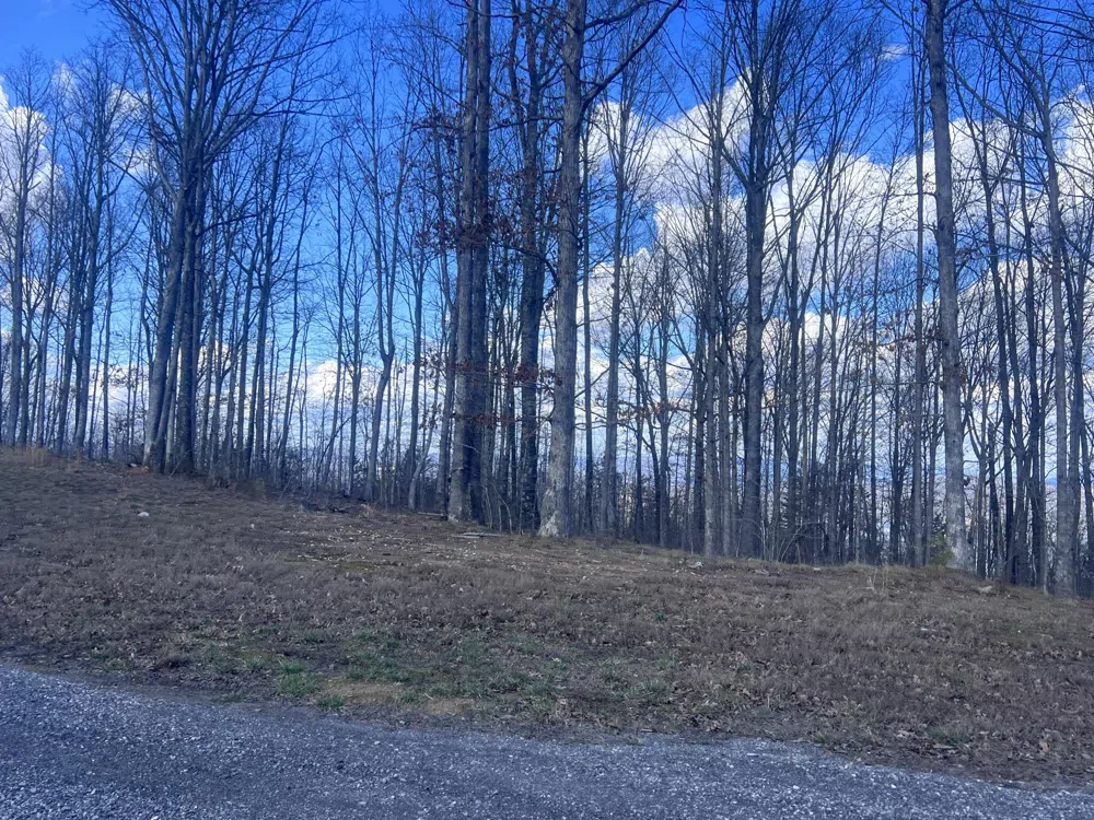 Salolee West Lane New Hope, TN 37380