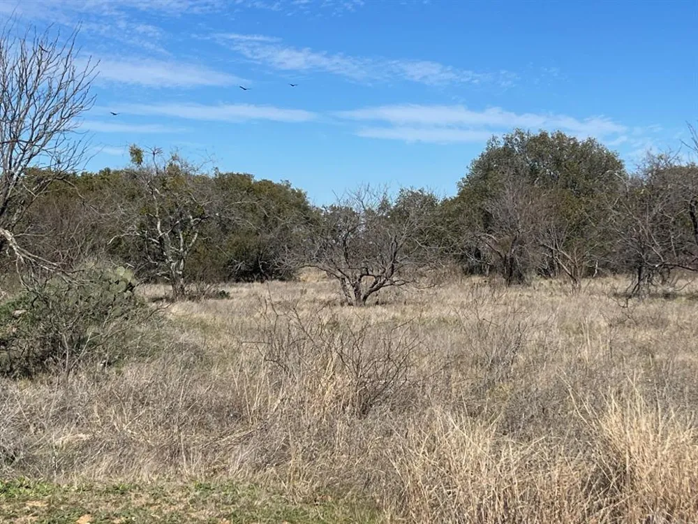 Summer Wind Drive Brownwood, TX 76801