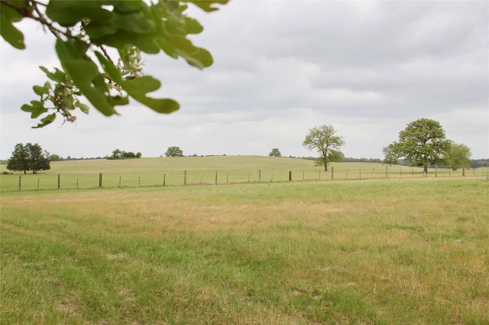 Edmonson McDade, TX 78650