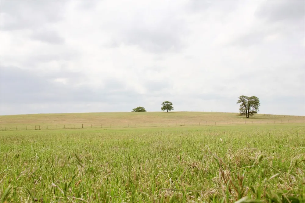 Edmonson McDade, TX 78650