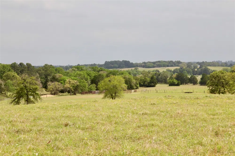 Edmonson McDade, TX 78650