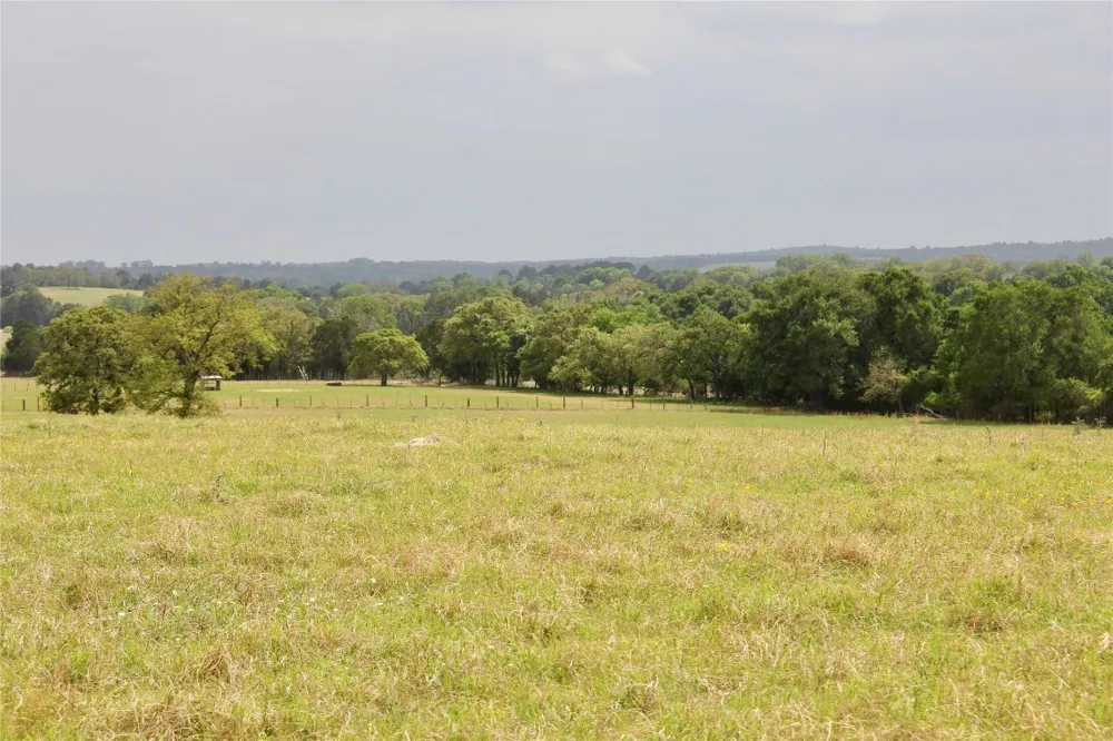 Edmonson McDade, TX 78650