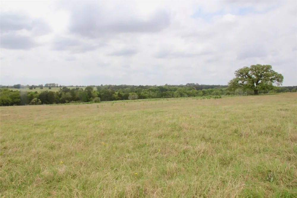 Edmonson McDade, TX 78650