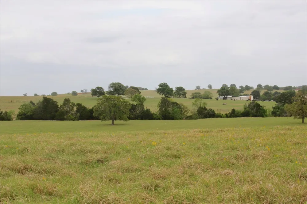 Edmonson McDade, TX 78650