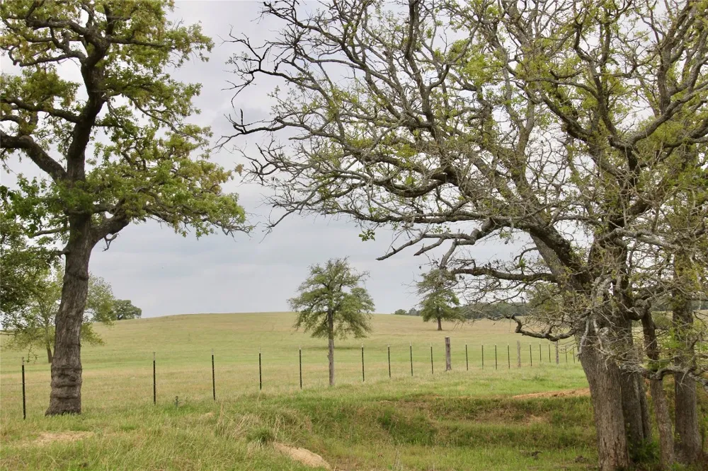 Edmonson McDade, TX 78650