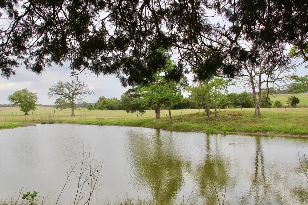 Edmonson McDade, TX 78650