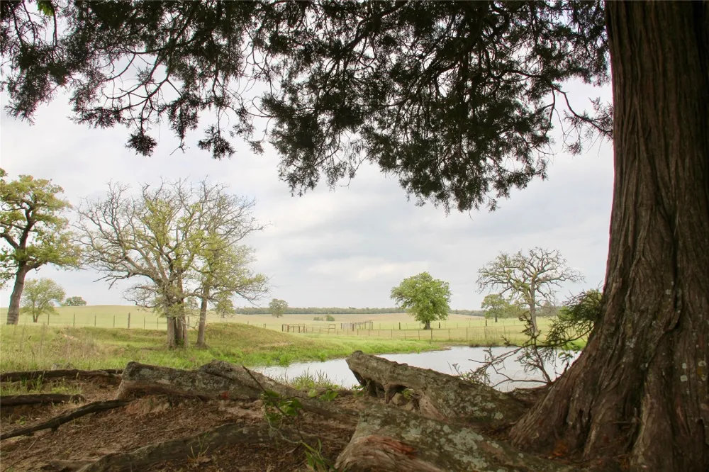 Edmonson McDade, TX 78650