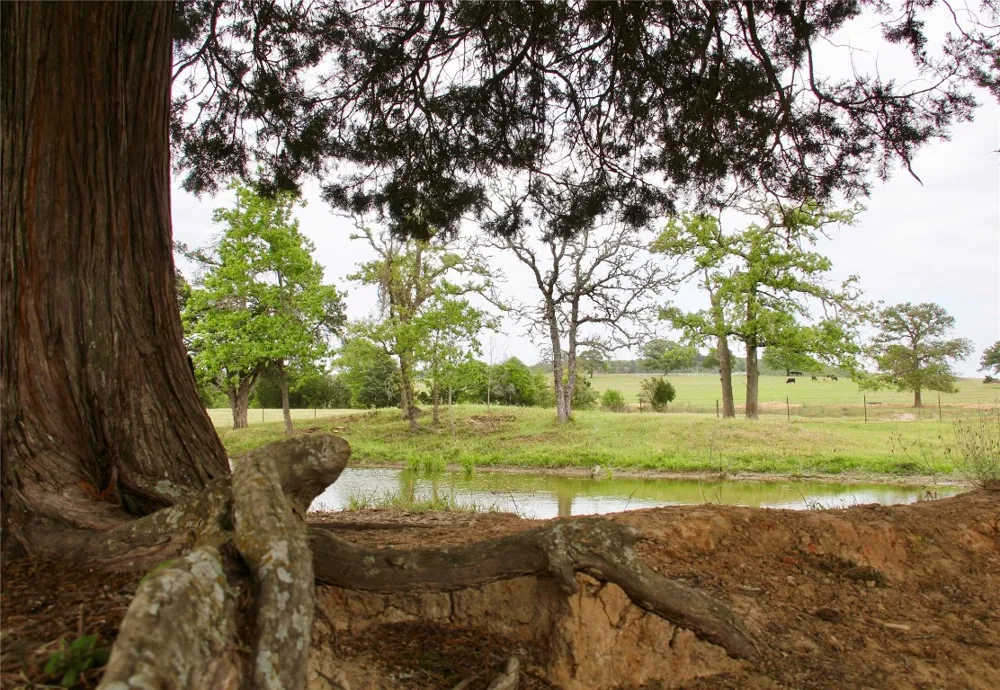 Edmonson McDade, TX 78650
