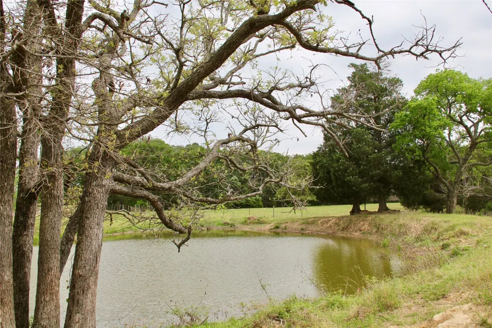 Edmonson McDade, TX 78650