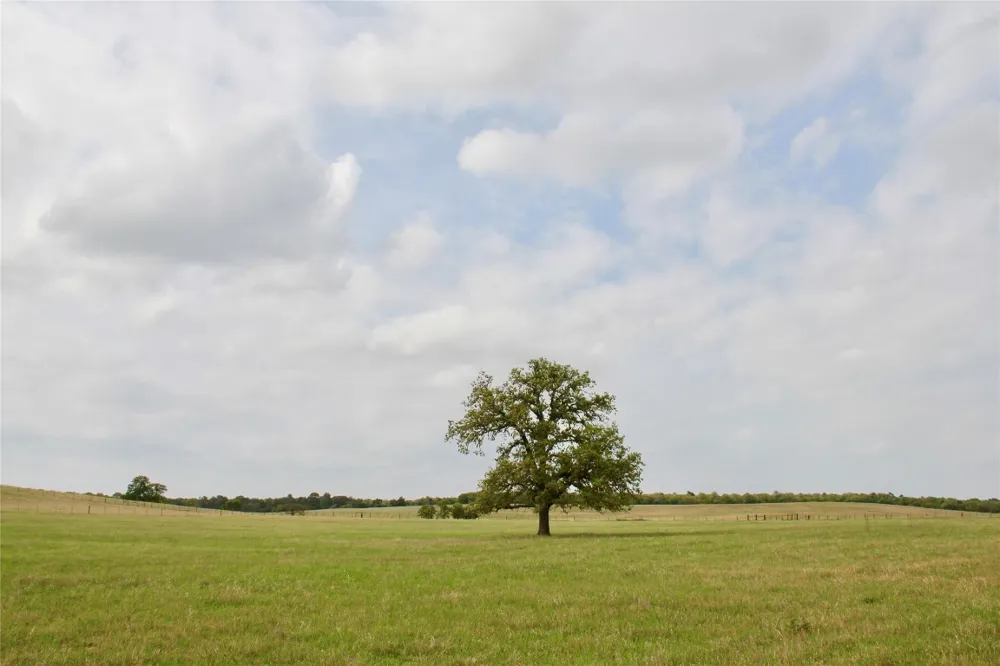 Edmonson McDade, TX 78650