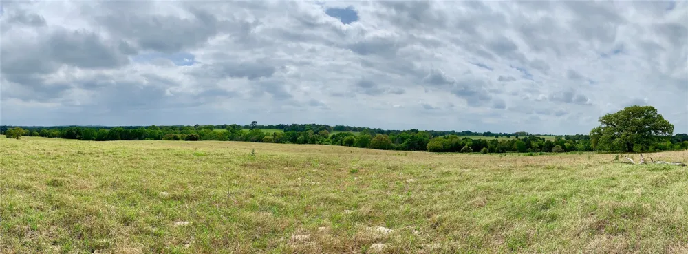 Edmonson McDade, TX 78650