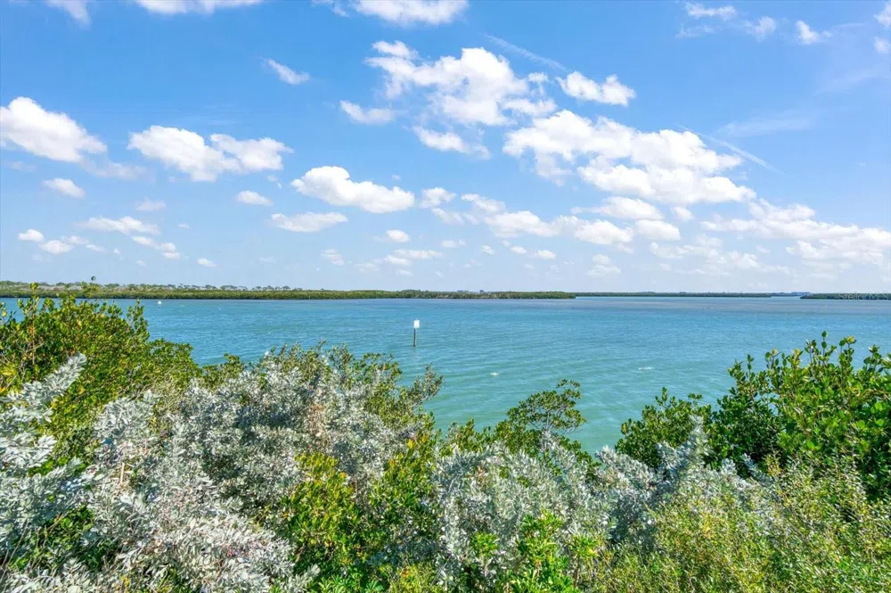 1198 MANDALAY POINT Clearwater, FL 33767