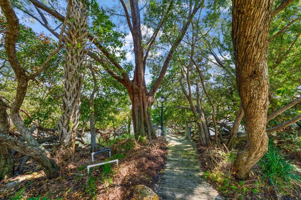 1198 MANDALAY POINT Clearwater, FL 33767