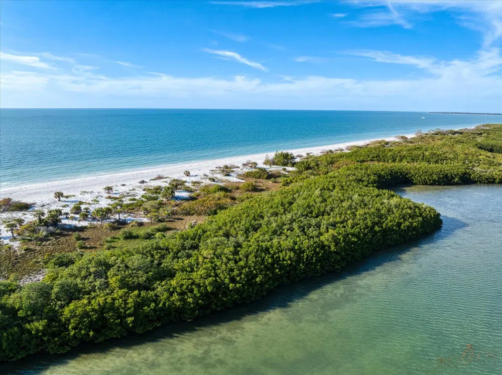 1198 MANDALAY POINT Clearwater, FL 33767