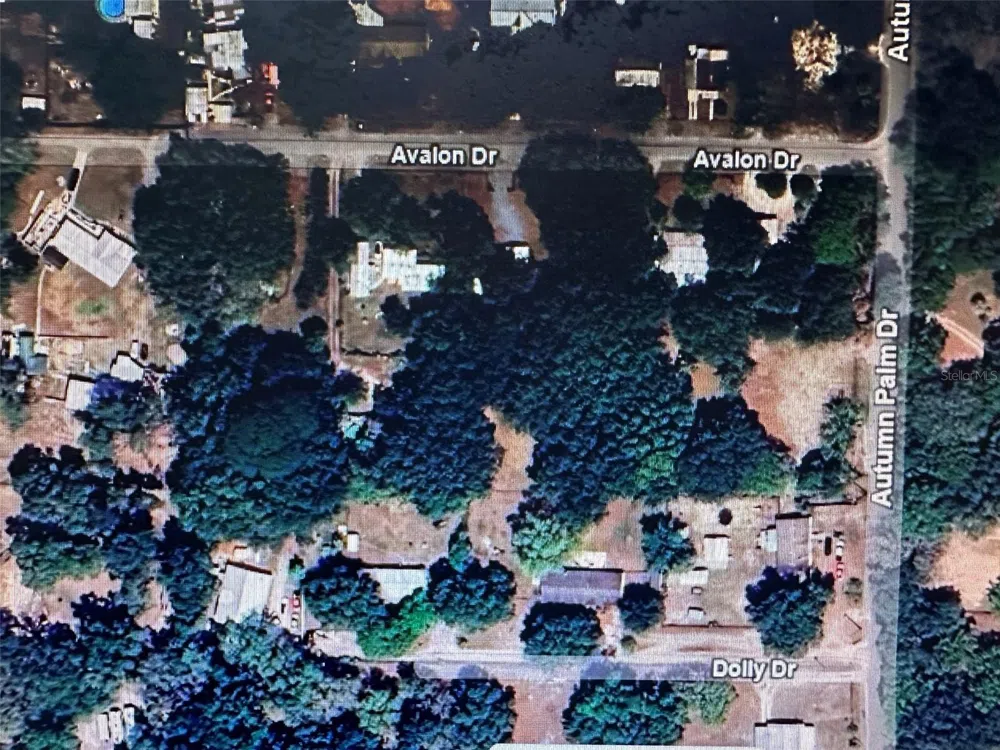 Address Not Shown Zephyrhills, FL 33541