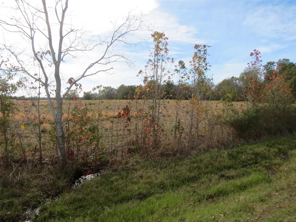 14010 Longstreet Road #22 Willis, TX 77318