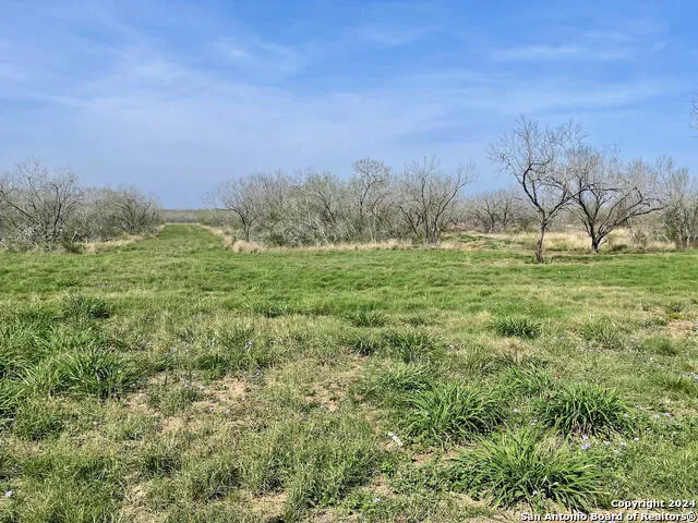 TRACT 8 FM 1332 Jourdanton, TX 78026