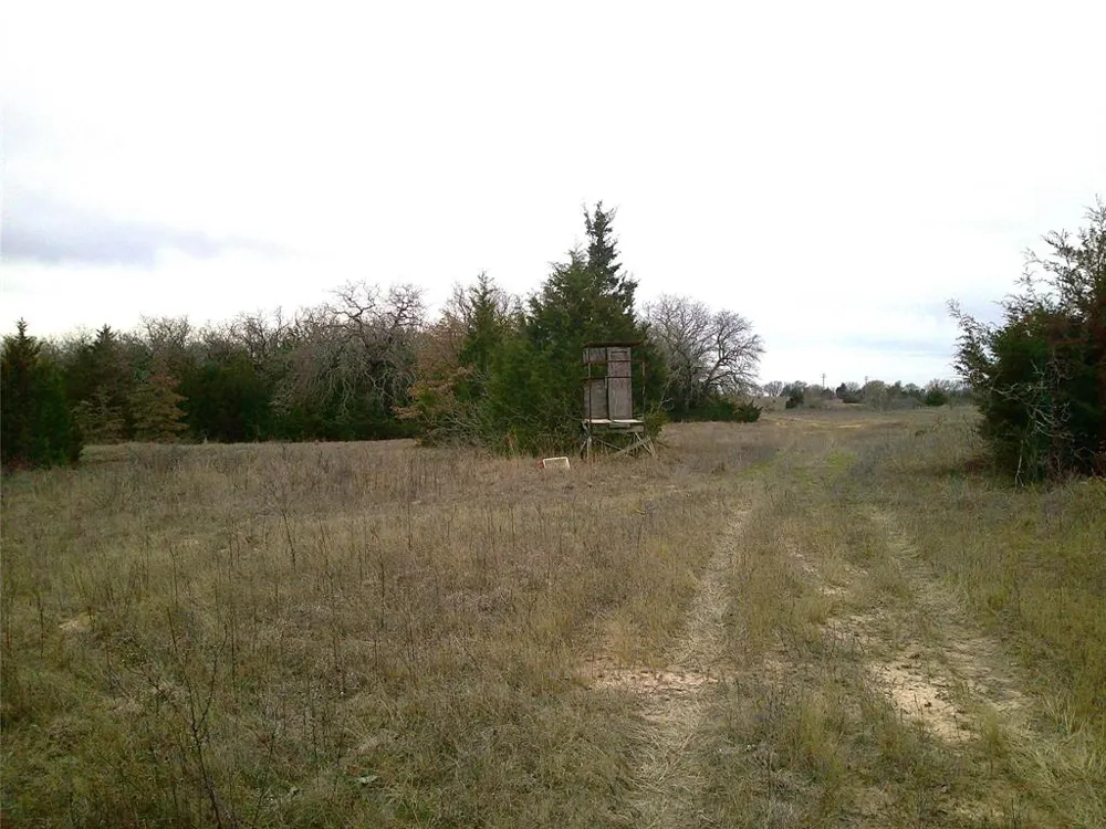 State Hwy 59 Montague, TX 76251