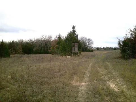 State Hwy 59